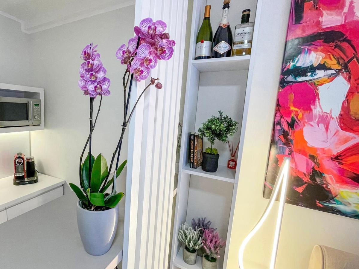 Skadarlija Colorway Apartment Belgrade Luaran gambar